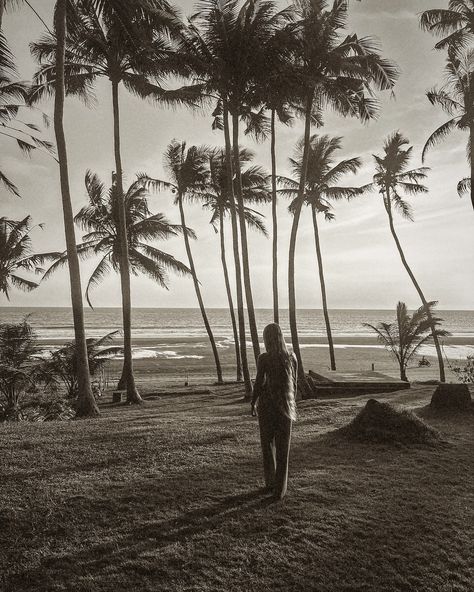 Island life at its finest ✨🛖🌴🥥🌺🐮🌅⁣ ⁣ ⁣ 📍Pasut Beach ⁣ ⁣ ⁣ #bali #islandlife #pasutbeach #sunsets #balitravel #travelgram #beachvibes #sheisnotlost #balidaily #peaceful #islandliving #girltraveler #tropicalbliss Beach Bali, Motorcycle Black, Black Beach, Beach Shoot, Island Living, Bali Travel, Island Life, Bali, Travel