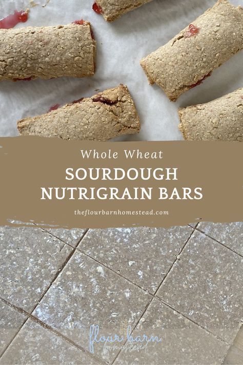 This Sourdough Discard Nutrigrain Bar Recipe really checks all the boxes! With Whole Wheat flour, fermintation and a delicious taste your kids will beg for these and you will feel great saying yes. My two year old is on a food strike and I am so thankful that these are still on his approved foods list. For us sourdough lovers, we also are always looking for new ways to use our beloved starter. This is a great sourdough discard recipe that mixes things up a little. Enjoy:) Sourdough Cereal Bars, Sourdough Starter With Whole Wheat Flour, Whole Wheat Discard Recipes, Sourdough Nutrigrain Bar, Wheat Sourdough Recipes, Wheat Sourdough Discard Recipes, Protein Sourdough Discard Recipes, Sourdough Discard Bars, Sourdough Casserole