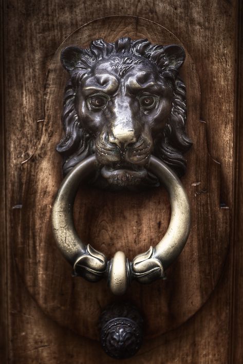 Old Lion Lion Door Knocker, Door Knobs And Knockers, Door Detail, Cool Doors, Geneva Switzerland, Antique Door, Old Doors, Vintage Door, Door Furniture