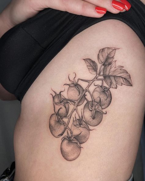 Katya Cherry | Tattoo artist | Cherry tomatoes for Yael 🌹 thank you for coming! . . . #stippletattoo #dotworktattoos #3rl #3rlonly #3rltattoo #whipshaded #tattooart… | Instagram Cherry Tomato Tattoo, Tomato Plant Tattoo, Tomato Tattoo, Cooking Tattoo, Cherry Tattoo, Fruit Tattoo, Cherry Tattoos, Food Tattoos, Tomato Plant