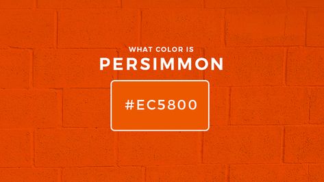 What color is persimmon - This trendy pick that may be used for a variety of purposes, such as interior design, fashion, advertising, and web design. Read on Colors Name In English, White Leather Couch, Persimmon Color, Persimmon Fruit, Interior Design Fashion, Paradise Plant, Interior Wall Decor, Craft Area, Color Meanings