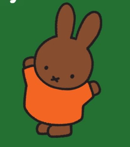 Miffy Halloween, Brown Miffy, Miffy Icon, Notion Board, Game Icons, Fall Semester, Game Icon, Children's Books, Creative Inspiration