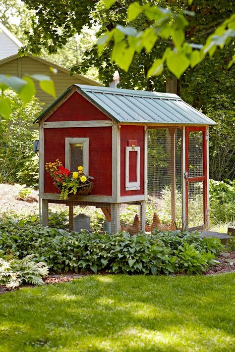 Urban Chicken Farming, Cute Chicken Coops, Small Chicken Coops, Easy Chicken Coop, Backyard Ideas For Small Yards, Portable Chicken Coop, Coop Design, Best Chicken Coop, Chicken Coop Designs