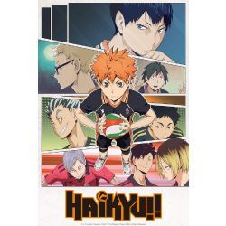 Haikyuu Posters, Haruichi Furudate, Volleyball Training, Contemporary Fantasy, Minor Character, Manga List, Mad Dog, Sports Anime, X Reader