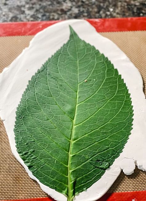 Leaf Clay Dish, Diy Clay Dish Ideas, Easy Sculptures, Air Dry Clay Leaf, Air Dry Clay Art Projects, Das Clay Ideas, Oven Baked Clay, Ceramic Leaves, Osteoporosis Prevention