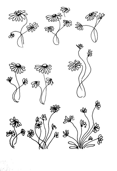 Flowers doodles 7 by Yulia Dobrodieieva. A variety of hand-painted camomile's. Liner 0.3 Camomile Flower Drawing, Camomile Tattoo, Camomile Drawing, Flowers Doodles, Daisy Doodle, Chamomile Plant, Plant Doodle, Meaningful Tattoo, Flower Doodles