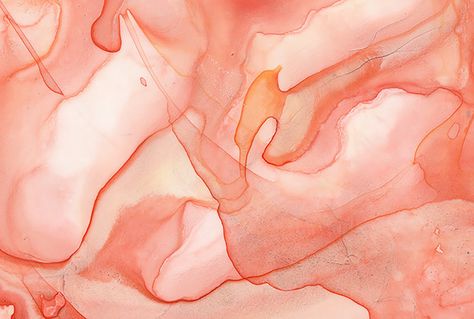 soft watercolor — Black Crow Studios Peach Passal Peach Desktop Wallpaper Aesthetic, Peach Laptop Wallpaper, Peach Wallpaper Laptop, Pink Orange Painting, Peach Wallpaper Desktop, Peach Aesthetic Header, Peach Desktop Wallpaper, Peach Colored Wallpaper, Peach Widgets