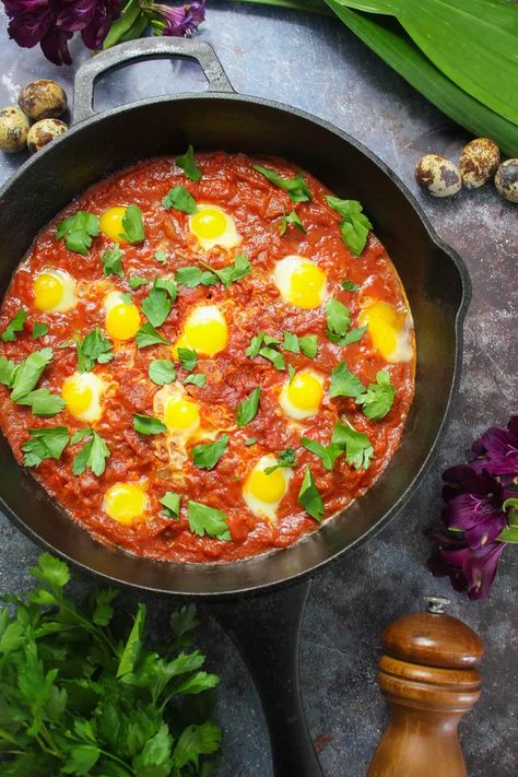 Shakshuka with Quail Eggs | Quail Eggs Recipe | Quail Eggs Benefits Quail Eggs Benefits, Easy Shakshuka Recipe, Quail Recipes, Egg Benefits, Shakshuka Recipes, Huevos Rancheros, Stewed Tomatoes, Brunch Dishes, Quail Eggs