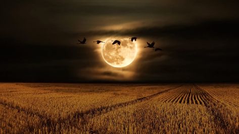 Full Moon 2023, October Full Moon, Moon Aries, Full Moon Photos, Moon 2023, Moon Hunters, May Full Moon, Next Full Moon, Autumnal Equinox