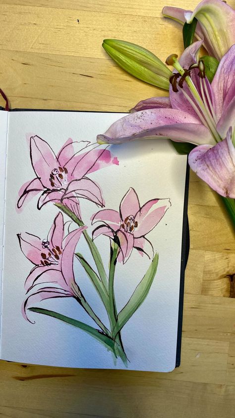 A quick watercolor and ink sketch of some pink lilies leftover from a little Easter bouquet. It is always a gift to myself to paint…even… | Instagram Flower Sketches Watercolor, Watercolor Art Ideas Flowers, Ink And Watercolor Art Flowers, Mother’s Day Card Drawing, How To Draw A Bouquet Of Flowers, Lilies Flowers Drawing, Watercolour Lilies, Things To Watercolor, Pink Flowers Drawing