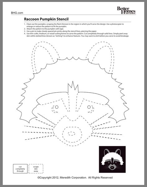 Raccoon Pumpkin Carving Stencil, Racoon Pumpkin Carving, Raccoon Pumpkin Carving, Raccoon Pumpkin, Halloween Pumpkin Stencils, Pumpkin Stencils, Pumpkin Carving Patterns, Pumpkin Carvings Stencils, Fall Festivities