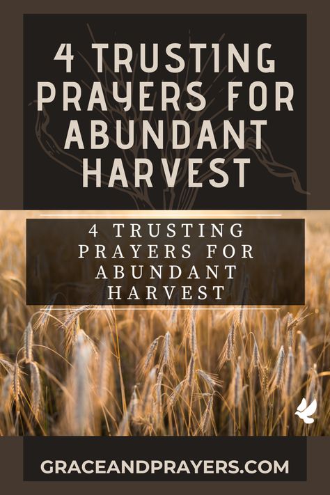 Are you seeking prayers for abundant harvest? Then we hope that these 4 prayers will help you reach God and pray that He protects the crops! Harvest Prayer, Prayer For Finances, Prayer For Wisdom, Treasures In Heaven, Hebrews 11, Short Prayers, Luke 12, Lord Of Hosts, Spiritual Living