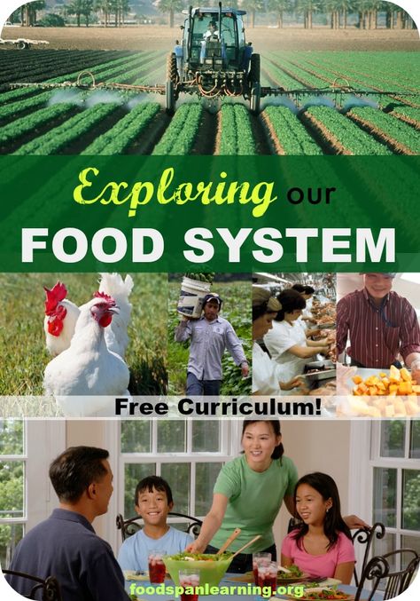 Agriculture Lessons For Elementary, Agriculture Education Lessons, Agriculture Education Classroom, Homeschool Electives, Ag Education, Farm Lessons, Ag Teacher, School Nutrition, Agriculture Education