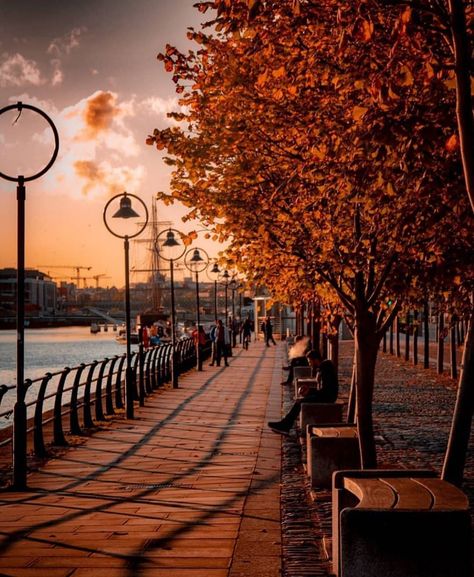 Dublin Autumn, Ireland Autumn, I Want To Leave, Instagram Autumn, Autumn Colors, Fall Aesthetic, Dublin, Fall Colors, On Instagram