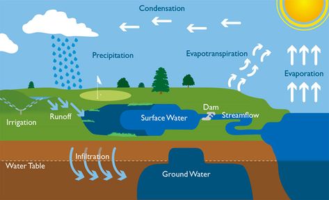 Solar System Science Project, Water Cycle Diagram, Website For Students, Water Study, Water Condensation, Project For School, Science Models, Water Irrigation, The Water Cycle