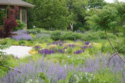 The New Perennial Movement - Greenhouse Product News Cabin Garden Ideas, Salvia Garden, Poured Concrete Patio, Wild Gardens, Cabin Garden, Jones Road, Perennial Gardens, Drought Tolerant Garden, Dreamy Garden