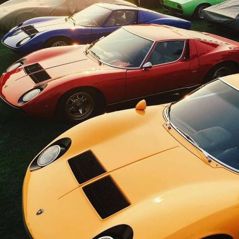 Lamborghini Miura, Lamborghini Cars, Classic Sports Cars, Italian Cars, European Cars, Expensive Cars, Latest Cars, Classic Cars Vintage