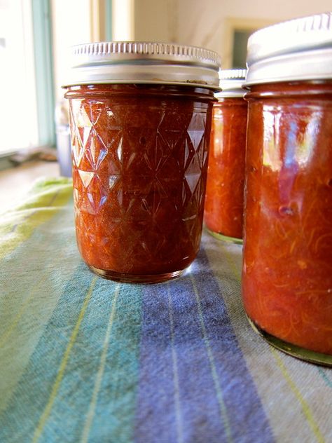 Putting Up: Victorian Barbecue Sauce + Rhubarb Ketchup | Diary of a Tomato Rhubarb Ketchup, Freezer Ideas, Barbeque Sauce Recipe, Rhubarb Sauce, Canning Ideas, Homemade Pantry, Barbecue Sauce Recipes, Fermentation Recipes, Harsh Winter