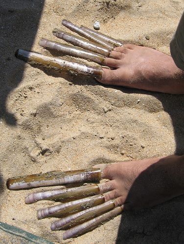 Ugly Toenails, Wicked Nails, Really Long Nails, Feet Nail Design, Long Toenails, Long Fingernails, Homemade Facial Mask, Acrylic Toe Nails, Acrylic Toes