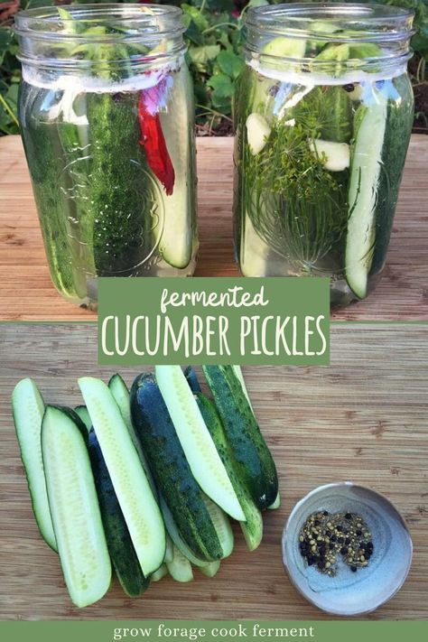 Fermented Vegetables Recipes, Diy Healthy Food, Cucumber Pickles, Seed Exchange, Lacto Fermented, Fermented Veggies, Fermented Pickles, Fermentation Recipes, Deli Style