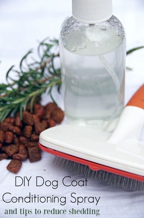 Diy Dog Spray, Diy Dog Coat, Dog Shedding Remedies, Diy Dog Training, Diy Dog Shampoo, Diy Conditioner, Dog Spray, Dogs Diy Projects, Dog Conditioner