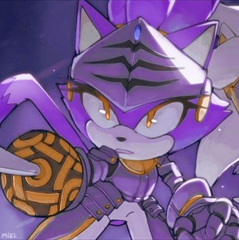 Sir Percival, Blaze The Cat, Shadow Sonic, Hedgehog Movie, Silver The Hedgehog, Sonic Funny, Sonic Fan Characters, Sonic Franchise, Sonic Adventure