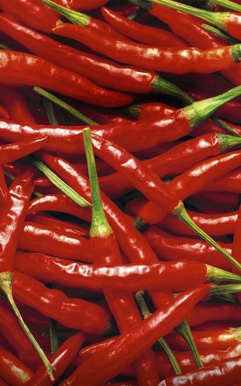 Chili Peppers Decor, Official Wallpaper, Paprika Pepper, Food Png, Red Chili Peppers, Free Ringtones, Food Wallpaper, Hottest Chili Pepper, Chilli Pepper