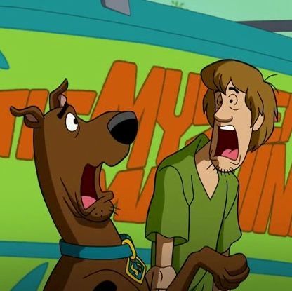 Scooby And Shaggy, What's New Scooby Doo, Shaggy Scooby Doo, Mystery Incorporated, Random Cartoon, Scooby Doo Pictures, Scooby Doo Mystery Inc, Scooby Doo Images, Scooby Doo Mystery Incorporated