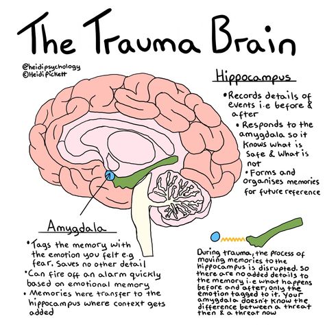 Brain Anatomy And Function, Brain Mapping, Brain Anatomy, Health Plus, Feeling Numb, Healing Arts, Behavioral Health, Therapy Ideas, Helping Children