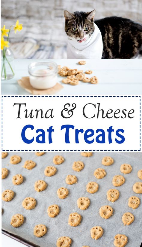 Homemade Cat Treats Recipes, Diy Cat Treats, Katt Diy, Homemade Pet Treats, Pet Treats Recipes, Homemade Cat Food, Katt Grejer, Healthy Dog Treats Homemade, Dog Treats Homemade Recipes