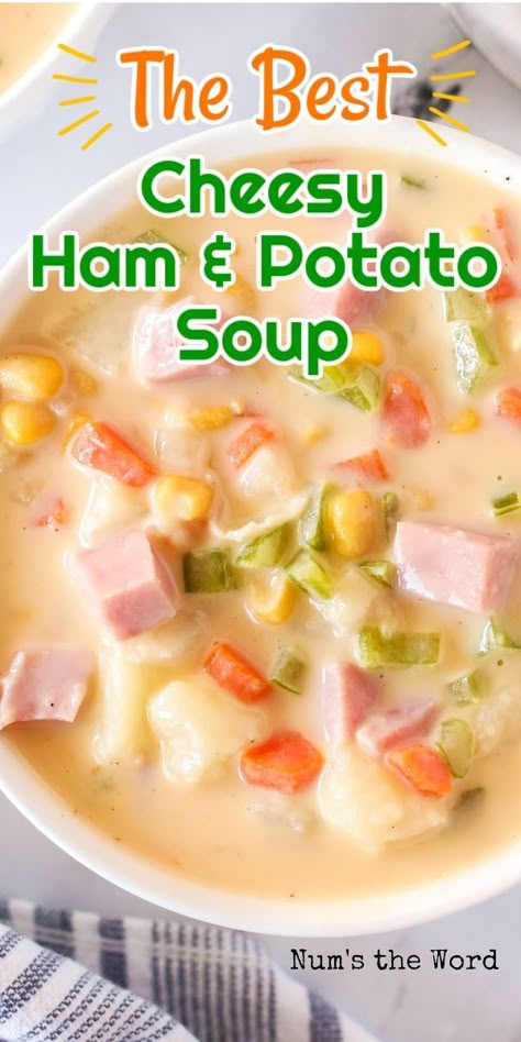 This Cheesy Ham and Potato Soup is the most delicious way to use up your leftover ham! Brimming with cheese, potatoes, corn, and ham, I guarantee you are going to love this soup! #cheesy #potato #ham #soup #numstheword #delicious Cheesy Ham Potato Soup, Potato Ham Soup, Cheesy Ham And Potato Soup, Ham And Potato Recipes, Ham Potato Soup, Soup For Babies, Ham Soup Recipes, Tiny Potato, Homemade Ham