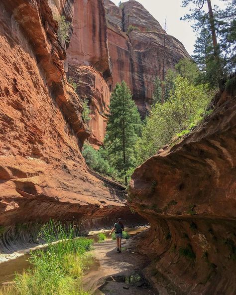 There's No Question That This Famous Trail Is the Prettiest Hike in All of Arizona Stone Cabin, Arizona Hiking, Boho Beautiful, Hiking Spots, Winter Hiking, 2024 Vision, Red Rock, Scenic Landscape, National Forest