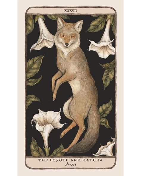 Jessica Roux on Instagram: “One of my favorite illustrations from my oracle deck, Woodland Wardens (and possibly my favorite illustration I’ve ever created)! Woodland…” Woodland Wardens, Beatles Art, 2023 Calendar, Heart Illustration, Oracle Deck, Inspirational Prints, Tarot Deck, Animal Illustration, Cute Cartoon Wallpapers