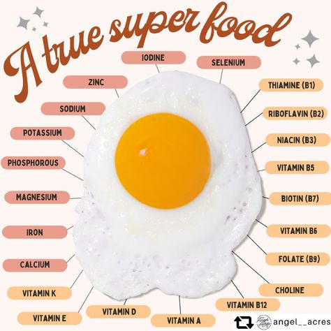 𝗔𝘀𝗵 (𝗣𝗵𝗗) & 𝗦𝗮𝗿𝗮𝗵 (𝗜𝗜𝗡,𝗣𝗡,𝗖𝗣𝗧) on Instagram: “Eggs are one of the most nutrient dense foods, containing most of the essential Vitamins & Minerals. In fact, a whole egg contains all of…” Foods With Iodine, Egg Nutrition Facts, Nutrient Dense Foods, Most Nutrient Dense Foods, Egg Protein, Eating Eggs, Fat Soluble Vitamins, Mango Recipes, Good Sources Of Protein