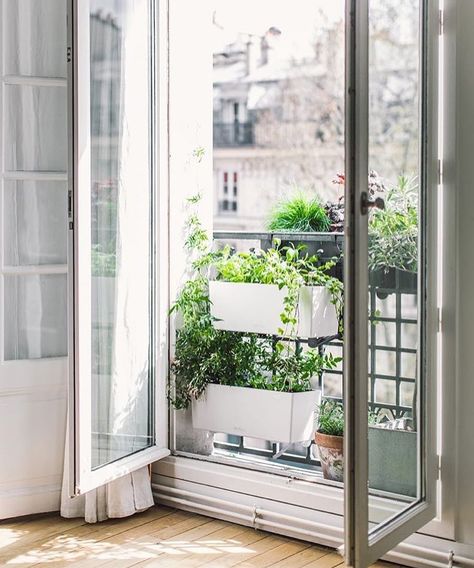 eady for spring? . #yourcitygarden #paris #windosill #reborddefenetre #jardinier French Balcony Ideas, Juliet Balcony Ideas, Paris Balcony, Balcony Fence, French Balcony, Window Seat Design, Juliet Balcony, Tiny Balcony, Barcelona Apartment