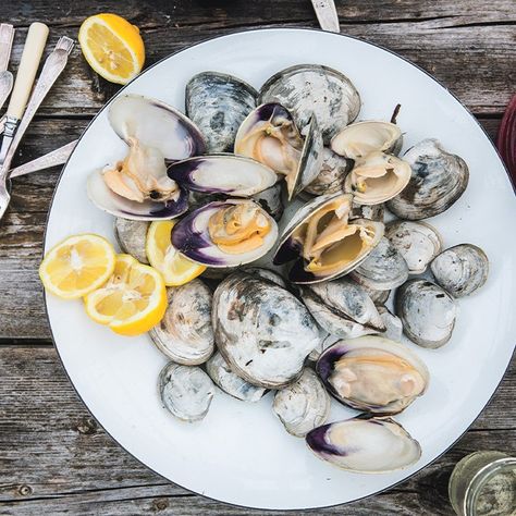 Beer-Steamed Clams Recipe | Bon Appétit Steamed Clams Recipe, Grilled Clams, Linguine And Clams, Steamed Clams, Mussels Recipe, Vacation Meals, Clam Recipes, Hot Italian Sausage, Dinner Is Served