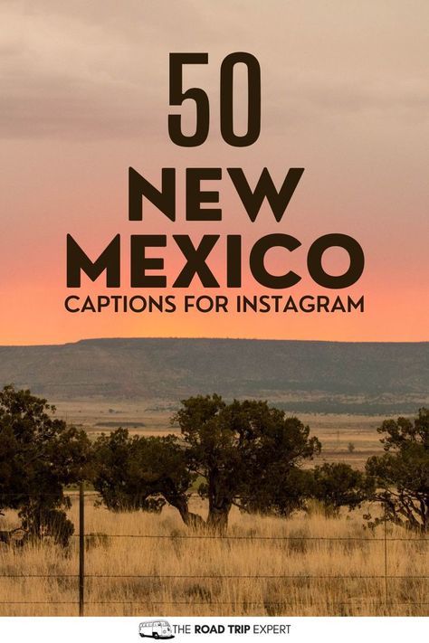 New Mexico Captions for Instagram Mexico Quotes, Adventure Captions, Welcome Quotes, Perfect Captions, Desert Dream, Good Instagram Captions, Quotes For Instagram, Desert Vibes, Stunning Landscapes