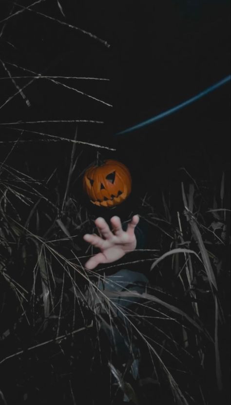 Pumpkin Head Halloween Photoshoot, Halloween Photoshoot Poses, Pumpkin Head Aesthetic, Halloween Photography Ideas, Fotos Halloween, Pumpkin Photoshoot, Spooky Shoot, Pumpkin Head Photoshoot, Spooky Photoshoot