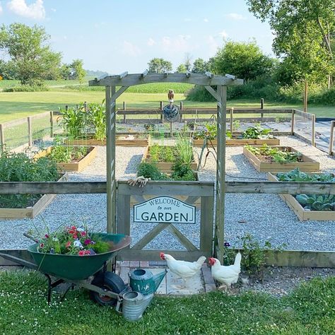 Homestead Gardens, Farmhouse Garden, Veg Garden, Have Inspiration, Backyard Farming, The Homestead, Home Vegetable Garden, Garden Yard Ideas, Vegetable Garden Design