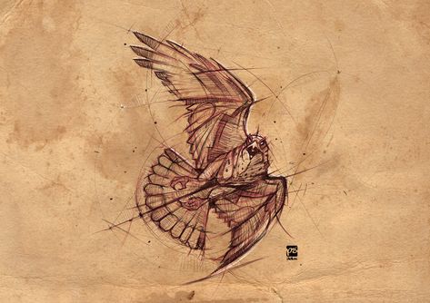 Falcon Drawing, Falcon Design, Falcon Tattoo, Falcon Art, Clown Paintings, Petit Tattoo, Bird Sketch, Animal Drawings Sketches, Arte 8 Bits