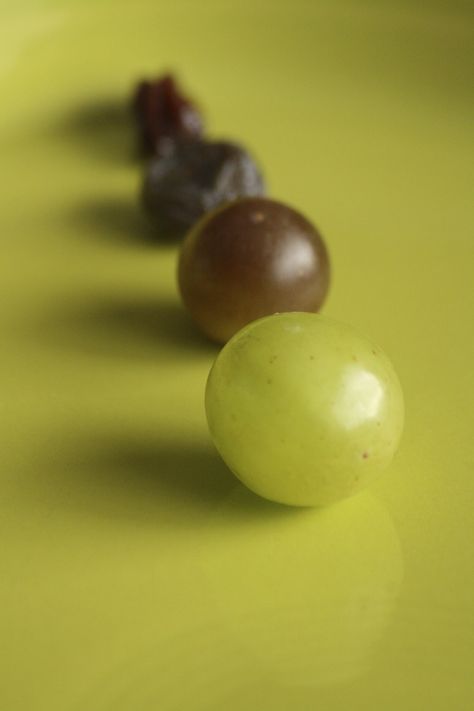 Turning GRAPES into RAISINS: easy science experiment for toddlers and preschoolers. - Happy Hooligans Experiments For Preschoolers, Science Activities For Toddlers, Writing Activities For Preschoolers, Toddler Science Experiments, Happy Hooligans, Science Experiments For Preschoolers, Easy Science Experiments, Cool Science Experiments, Easy Science