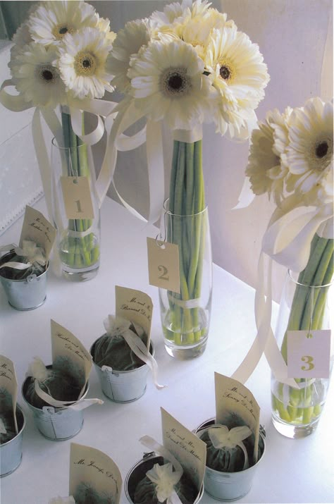 Seed packets with guests names, tin buckets, and bundles of soil were used to great a unique escort card table at Full Moon Resort by Elderberry Flowers. Daisy Wedding Centerpieces, Sitting Plan, Bridal Shower Centerpiece, Elderberry Flower, Tin Buckets, Gerbera Flower, Rope Projects, Daisy Wedding, Bridal Shower Centerpieces