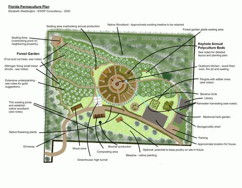 Medicinal Herbs Garden, Planting Plan, Permaculture Design, Permaculture Gardening, Rainwater Harvesting, Food Forest, Farm Design, Forest Garden, Garden Layout