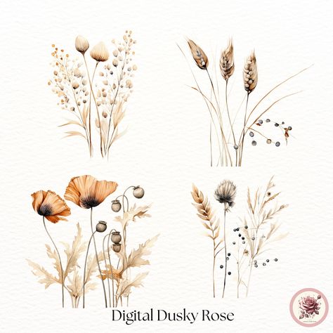 Poppy Clipart, Boho Dried Flowers, Grass Png, Floral Font, Sublimation Ideas Projects Inspiration, Flowers Illustration, Sublimation Ideas, Illustration Blume, Pampas Gras