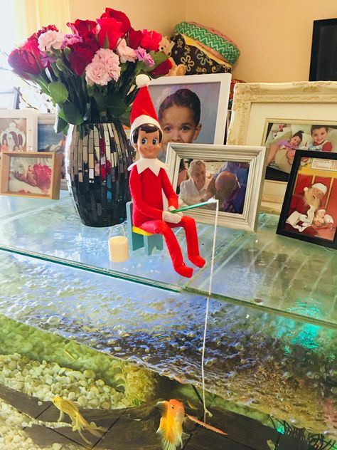 Elf on the Shelf "Flake" goes fishing in the fish tank. Elf Fish Tank, Elf On The Shelf Fish Tank, Elf On The Shelf Fishing Ideas, Fishing Elf On The Shelf, Elf On The Shelf Fishing, Elf Fishing, Elf On The Shelves, Purple Bathroom, Elf Ideas Easy