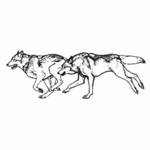 Two Wolves Tattoo, Wolves Tattoo, Wolf Pack Tattoo, Wolf Tattoos For Women, Running Drawing, Animal Tattoos For Women, Wild Wolves, Small Wolf Tattoo, Running Tattoo