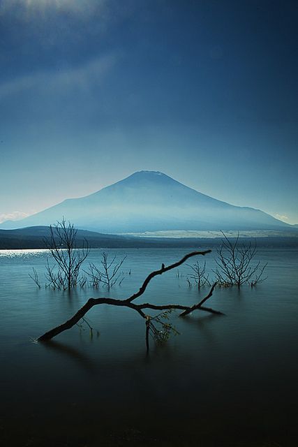 Mt. Fuji from Yamanakako, Japan. Gunung Fuji, Magic Places, Monte Fuji, Mont Fuji, Mt Fuji, Mount Fuji, Places Around The World, Beautiful World, A Tree