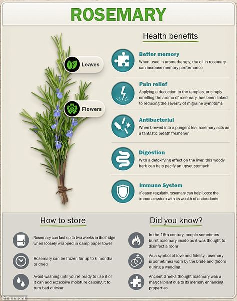 Rosemary Health Benefits, Benefits Of Herbs, Benefits Of Rosemary, Medicinal Herbs Garden, Medical Herbs, Magia Das Ervas, Magic Herbs, Natural Healing Remedies, Healing Plants