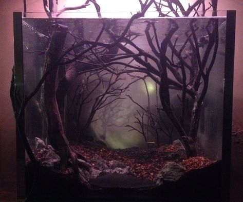 A freshwater aquarium doesn't have to just be a home for fish. It can also be a canvas for a form of art if you want it to be. That form of art is called... Legos In Fish Tank, Horror Themed Fish Tank, Pictus Catfish, Klein Aquarium, Axolotl Tank, Fish Tank Themes, Amazing Aquariums, Small Fish Tanks, Fish Tank Design