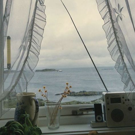 View Playlist Covers, Open Window, The Ocean, The Story, Plants, Flowers